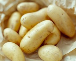 Полезные свойства картофеля. Лечебные свойства картофеля