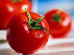 Чем полезны помидоры? Лечебные и полезные свойства томата