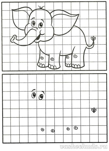 Рисование по клеточкам. Слон