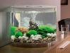 Как ухаживать за аквариумом и рыбками в домашних условиях для начинающих